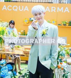 灿烈姐姐爆料了吗视频播放,揭秘娱乐圈幕后故事 第1张 灿烈姐姐爆料了吗视频播放,揭秘娱乐圈幕后故事 第1张